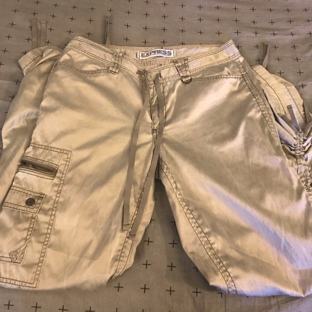 Express Satin Like Pants